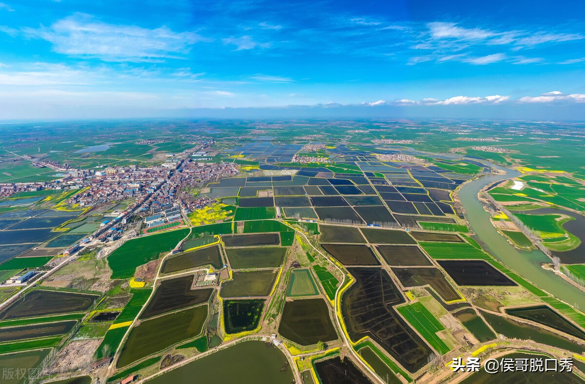 回农村创业风险很大投了20万,回农村创业真的是死路一条吗