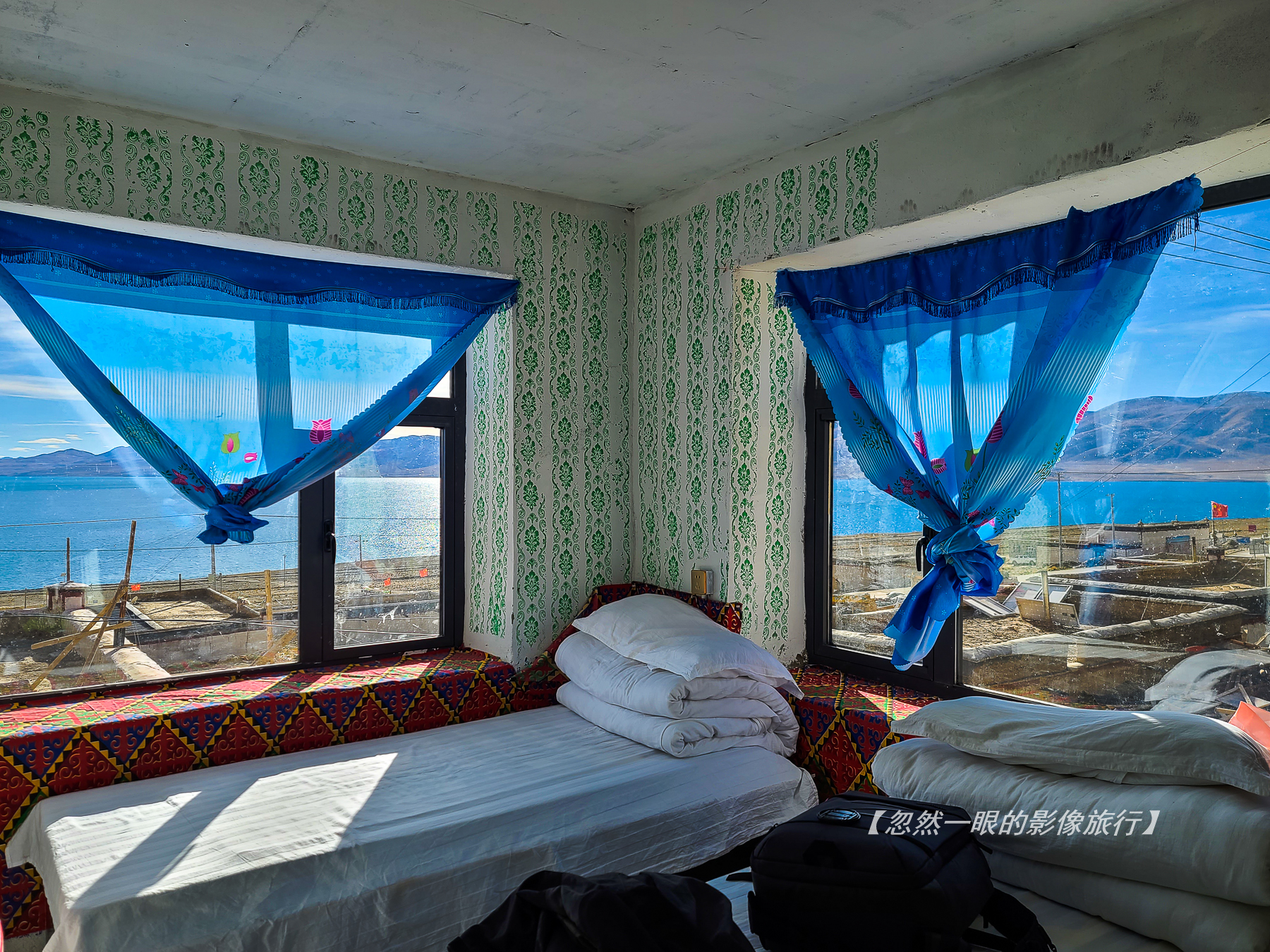 阿里无人区野狼出没,阿里无人区狐狸