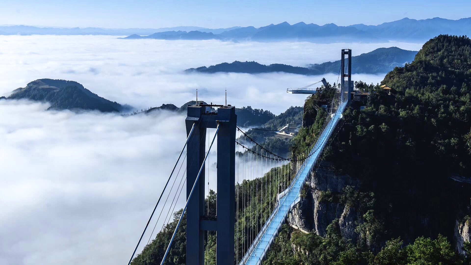 仙人街景区赏花攻略,吉尼斯打卡仙人街