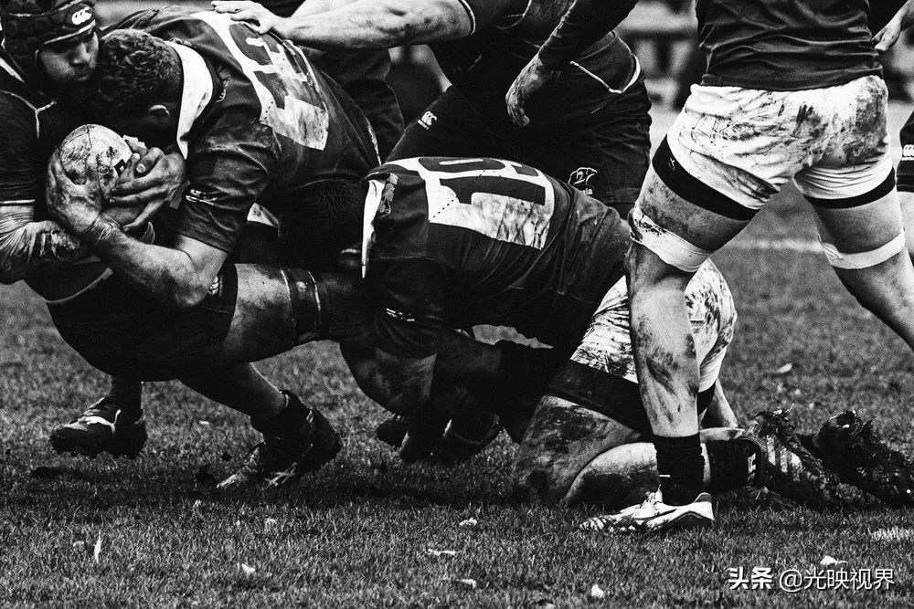 2022年度的ipa摄影大赛获奖作品,2020ippa摄影大赛奖项公布