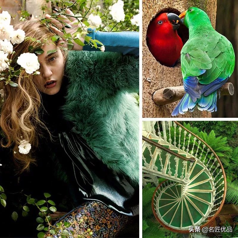 爱是一道光！治愈系祖母绿，宝石盛开的花园，绝美惊艳400年