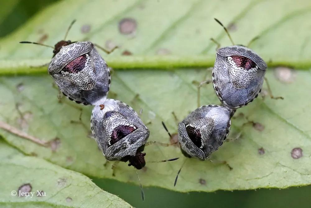 情人节，就该和爱的人*爱做**做的事