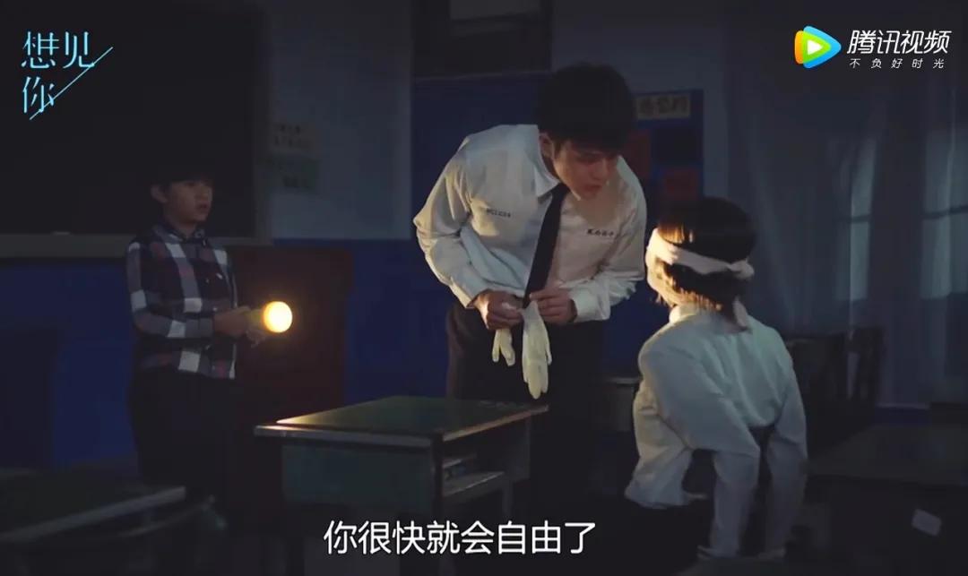 大学生杀死流浪猫,大学生杀流浪猫