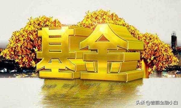 基金定投几年为什么还在亏损,基金定投3个月后亏损30%怎么补仓