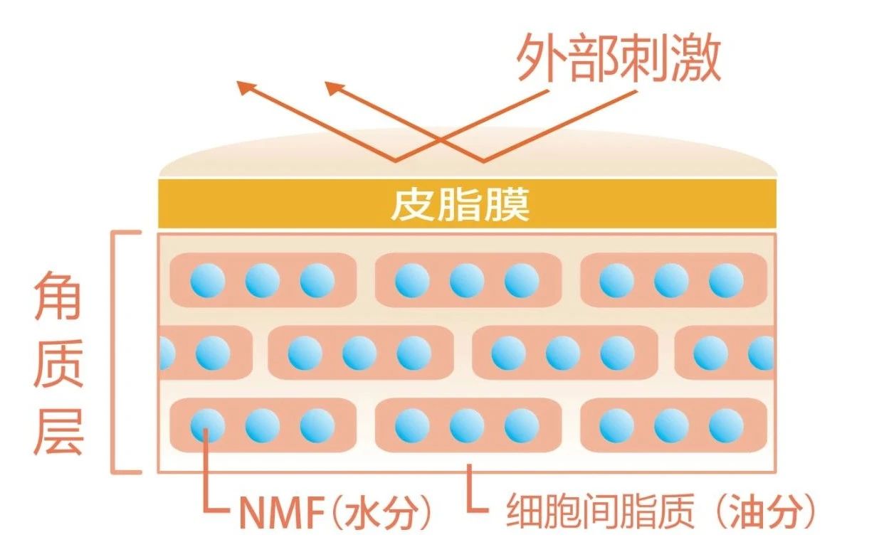 让你白到发光的美白秘籍请收好,关于美白的常识和技巧
