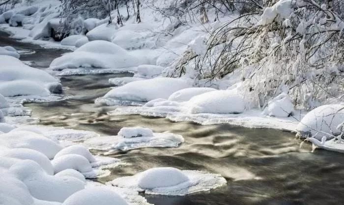 冬至阳生又逢春,冬至阳生春又来书法作品