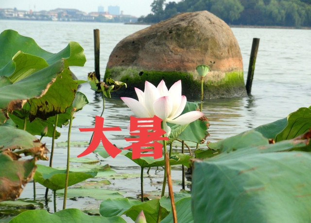 今日大暑有什么说法,今日大暑要注意什么事