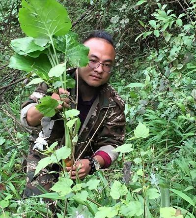 农村小伙回家创业种葡萄,农村小伙回家创业种甘蔗