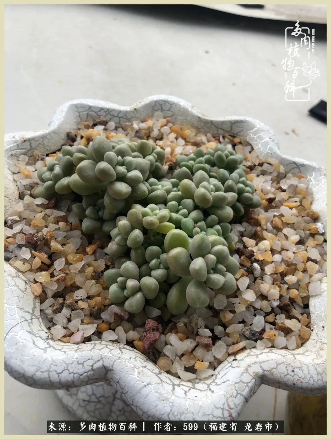 所有的热爱都不遗余力,所有的忙碌都是因为热爱