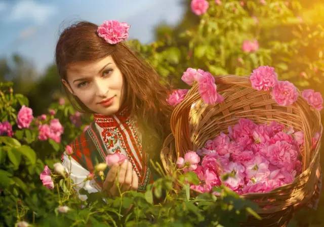 什么花茶喝了嘴里清凉,各种花茶好喝