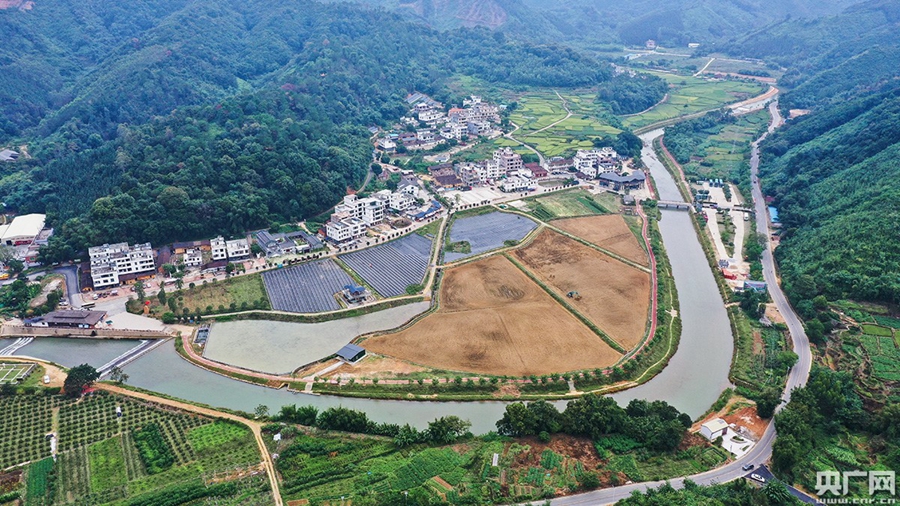 碧桂园精准扶贫基地,碧桂园乡村振兴大赛