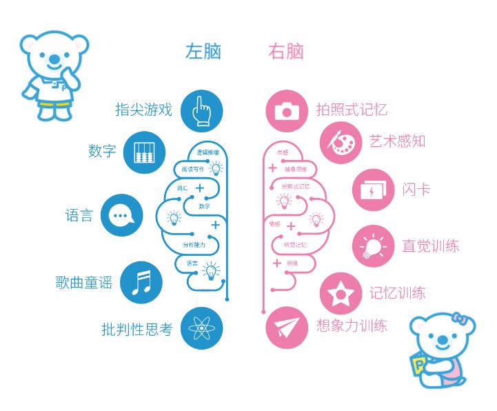 哪里能学全脑开发蒙眼识字,全脑训练怎样蒙眼识字