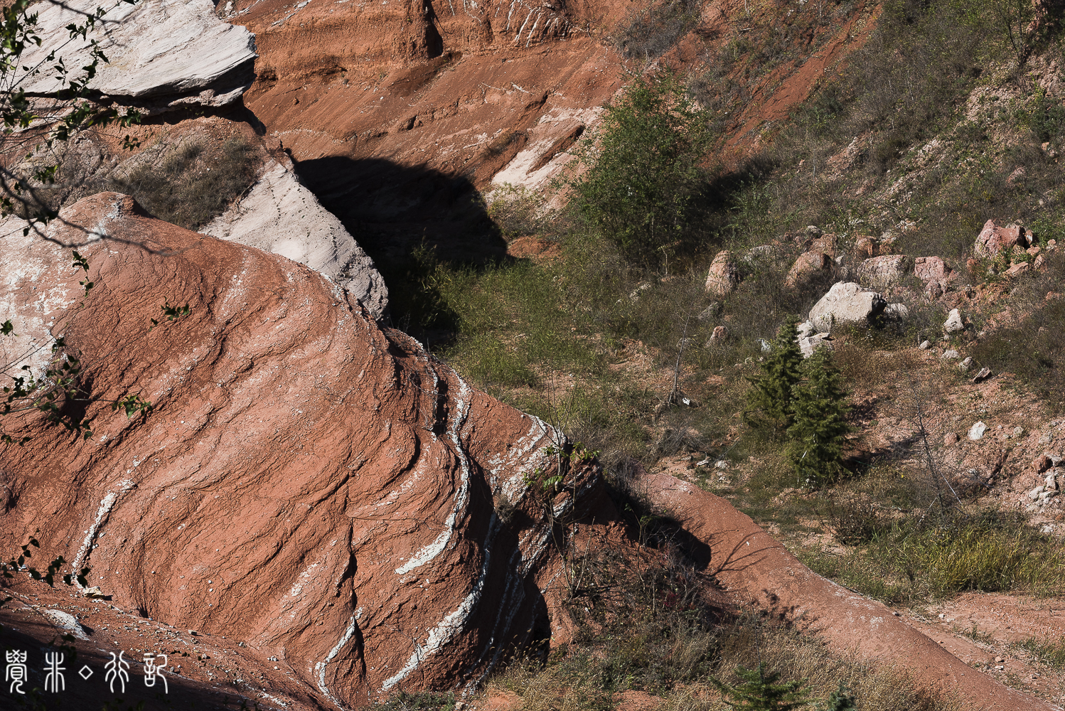 莱阳白垩纪国家森林公园,莱阳白垩纪公园