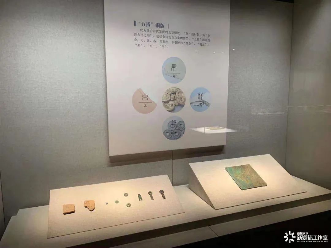 如果*物文**会说话？快来走进青岛校区博物馆