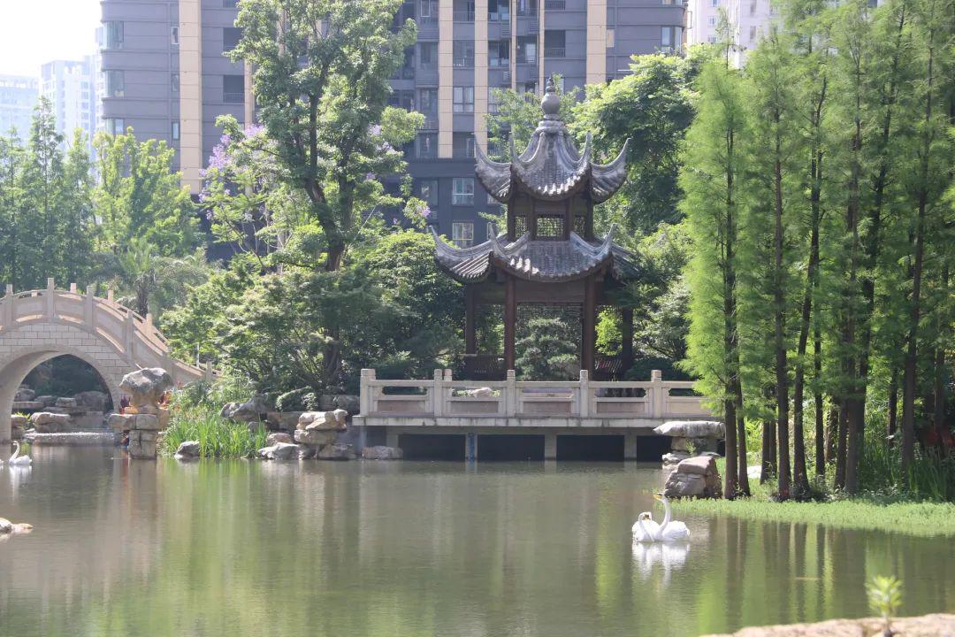 百强物业企业,新鸥鹏物业荣誉