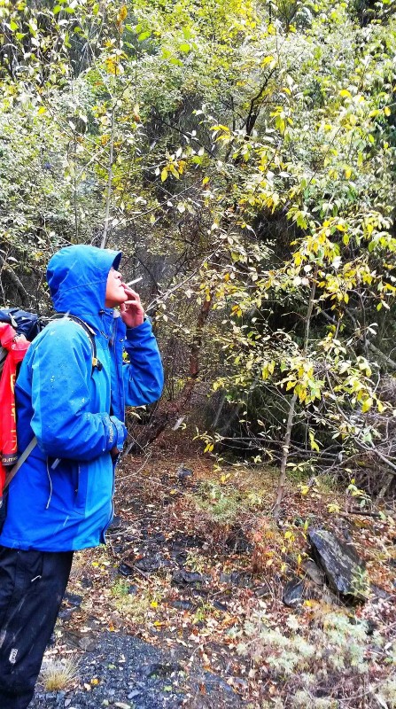 带上UL从狼塔C回家