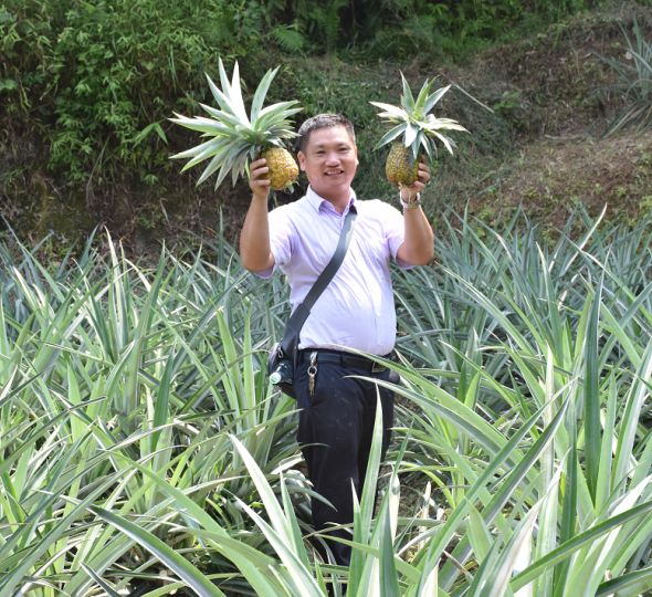 閫傚悎骞夸笢绉嶇殑蹇粨鏋滅殑姘存灉,鏂板瀷姘存灉璇曠