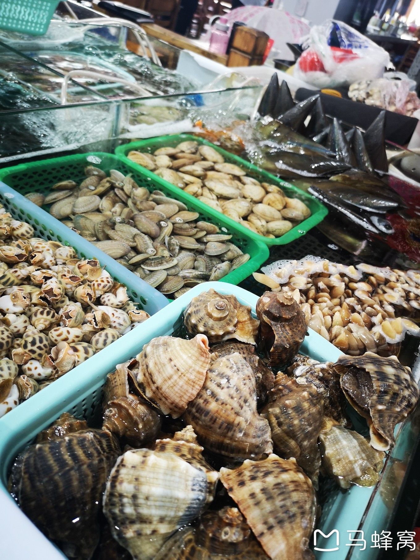 三亚夏天的海和冬天的海,三亚冬天如夏