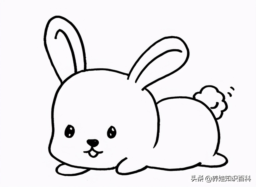 小兔子怎么画可爱卡通简单,小兔子怎么画简单又可爱视频教程