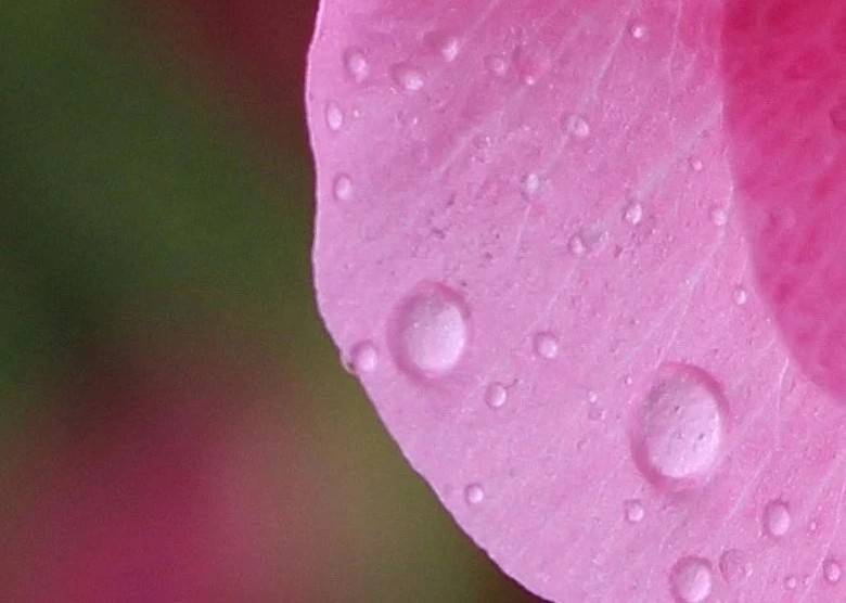 水样心情,水样情怀