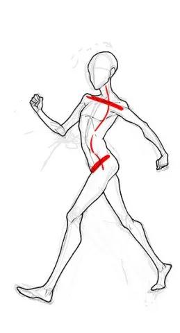 维持人体直立姿势的肌肉有哪些,人体的解剖姿势是身体直立