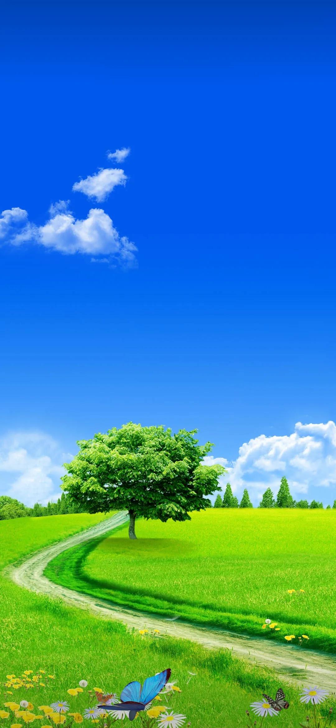 精美手机壁纸真是太美了,清晰到极致的手机壁纸图