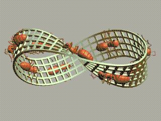 莫比乌斯发现怪圈的故事,神奇的莫比乌斯带