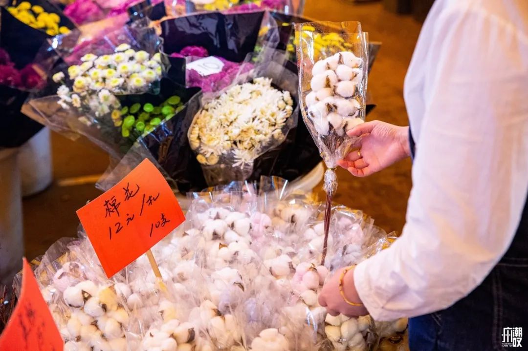 深夜去广州的花卉市场买花,如何逛斗南花卉市场买花便宜