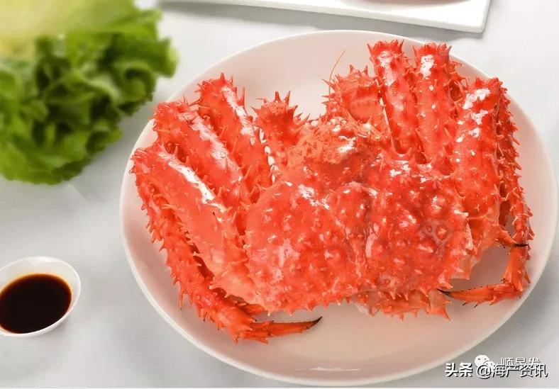 各国海鲜大盘点,今年过年最值得入手的海鲜
