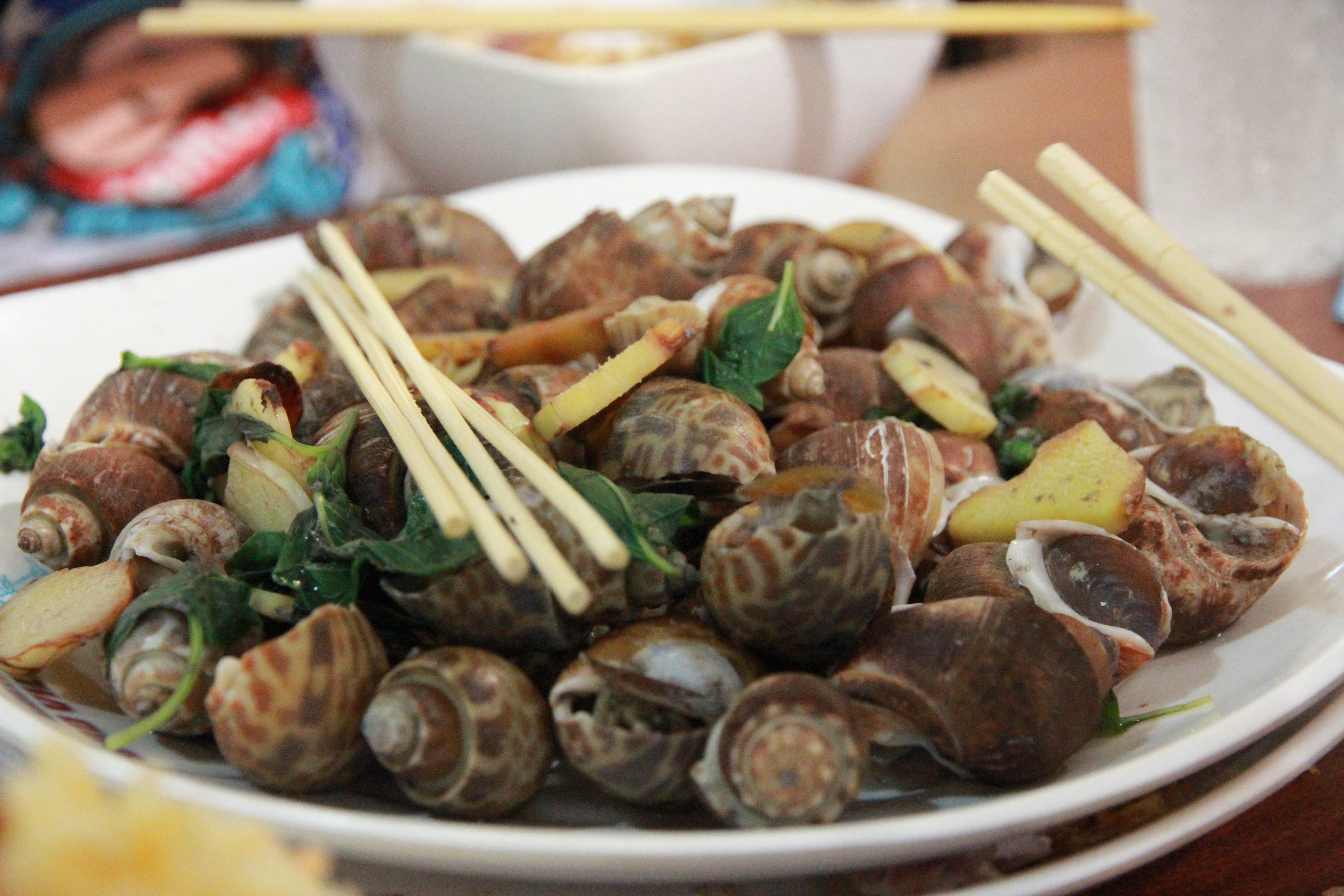 泰国普吉岛旅游攻略小视频,泰国普吉岛自由行旅游最新攻略