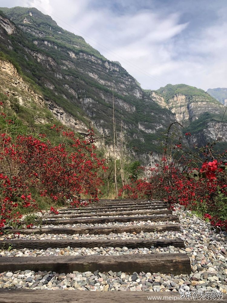 中国百慕大黑竹沟了解一下,穿越黑竹沟揭秘中国百慕大