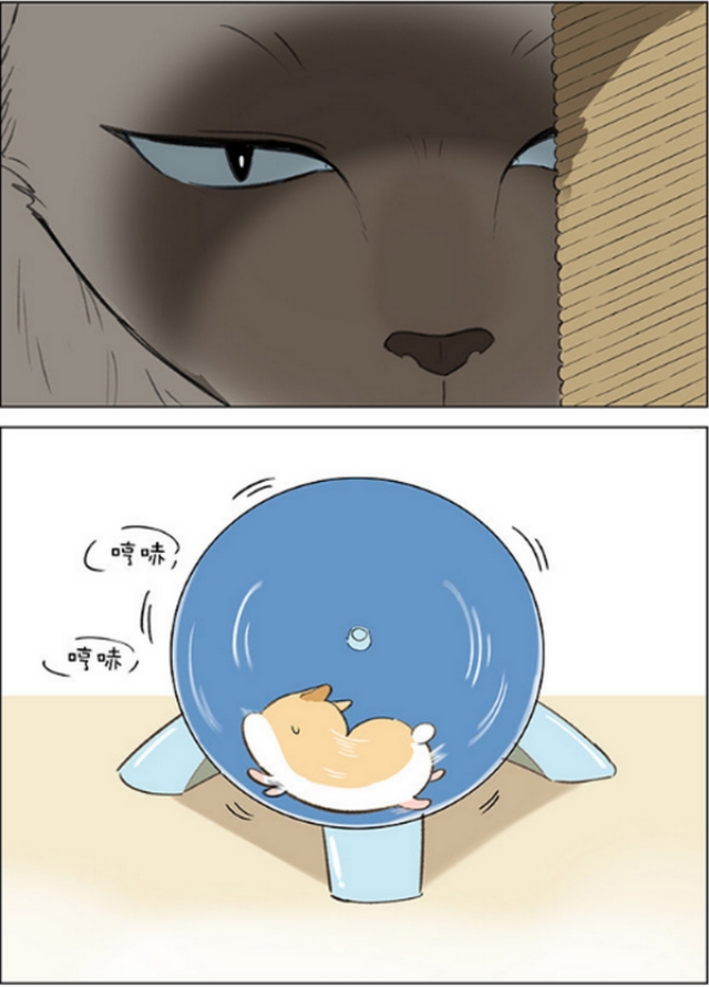 仓鼠跑步速度有多快,仓鼠跑步的速度有多快