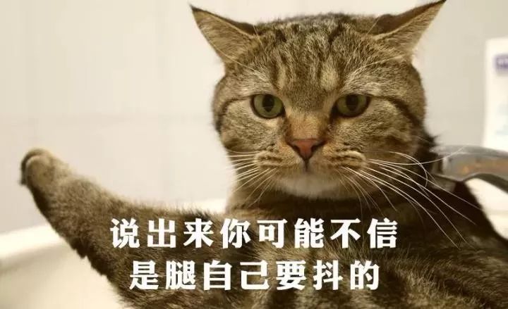 太难难难难难难了！为什么坐着就会忍不住抖腿？