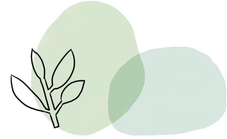 植库‖跟随仙气飘飘的油牡丹，追寻春天的步伐