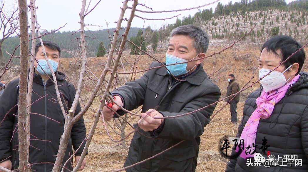 平阴县各村第一书记,平阴县第一书记