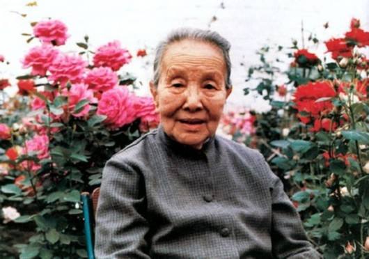 冰心和宋庆龄,冰心抗战时期在做什么