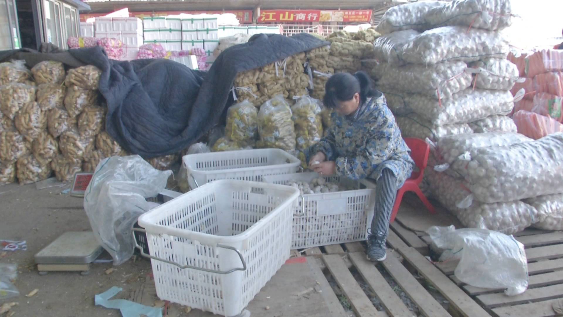 2020年大蒜价格预测多少元一斤,今年大蒜最高价格预计是多少