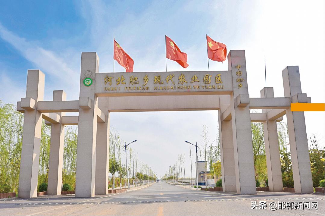 一带两抓三提升！2021年肥乡265个村要这样干