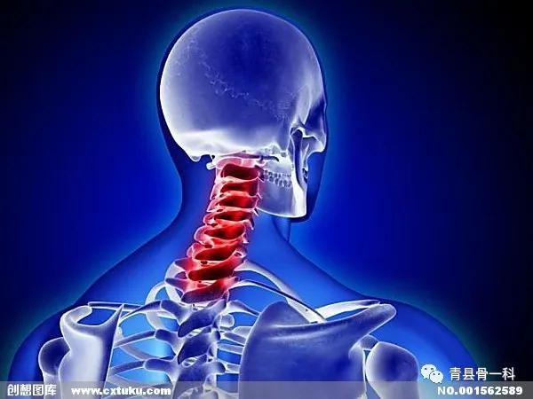 脊椎骨疼是怎么回事呀,后背脊椎骨疼是怎么回事