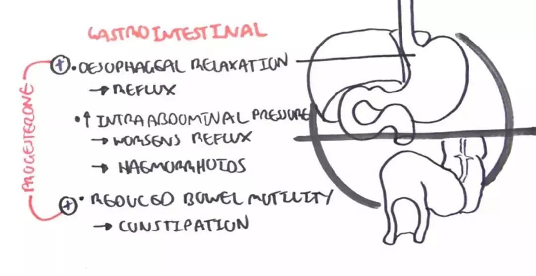 医学知识科普产后康复,开局不可言语最新章节在线阅读