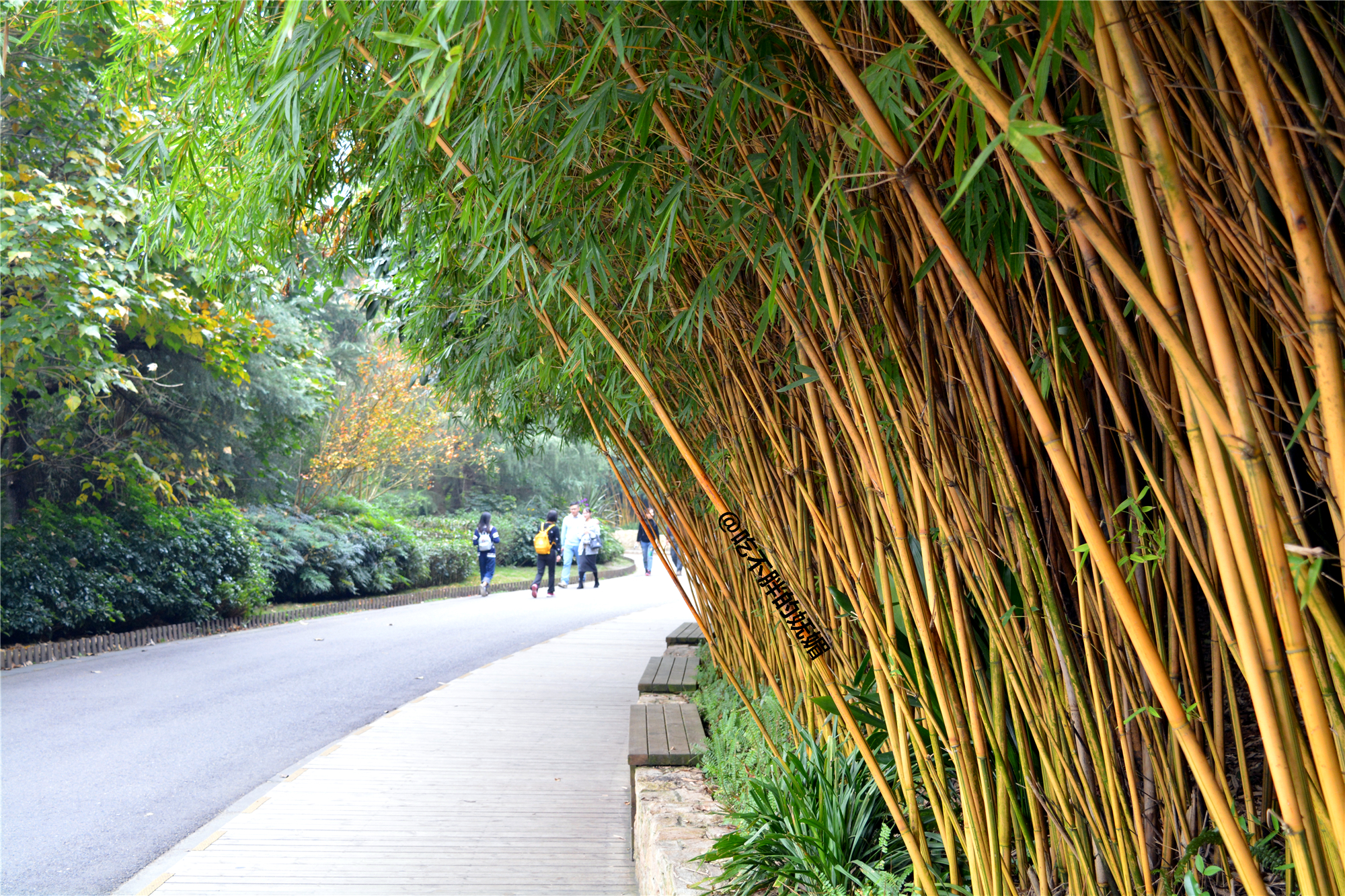 吃货夫妻结婚2周年，去成都逛吃逛吃，3天花了5600元~