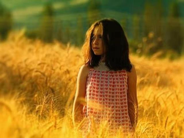 《麦田里的守望者》美.塞格林