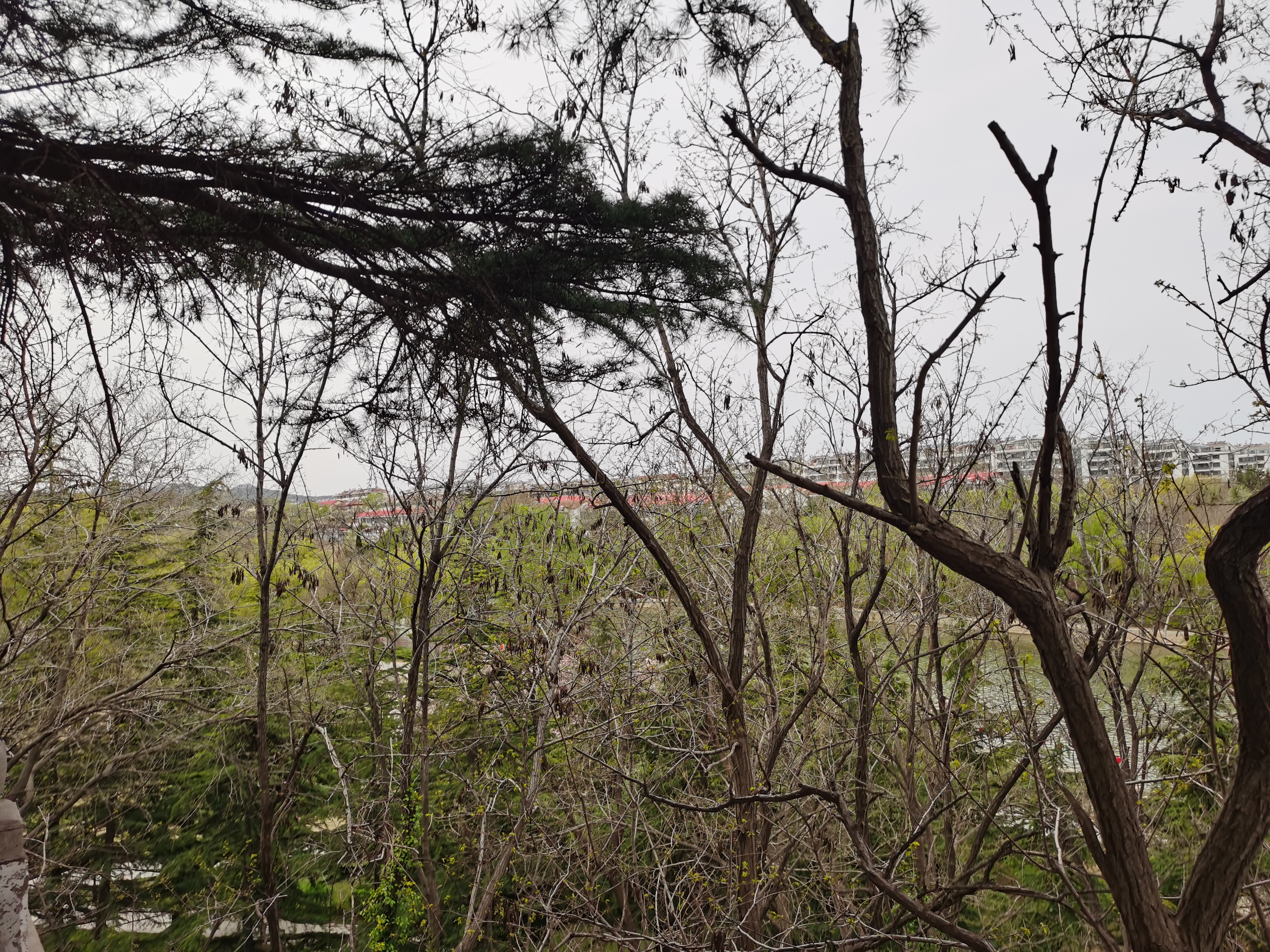 英雄归来最高礼遇抖音,英雄归来最高礼遇视频