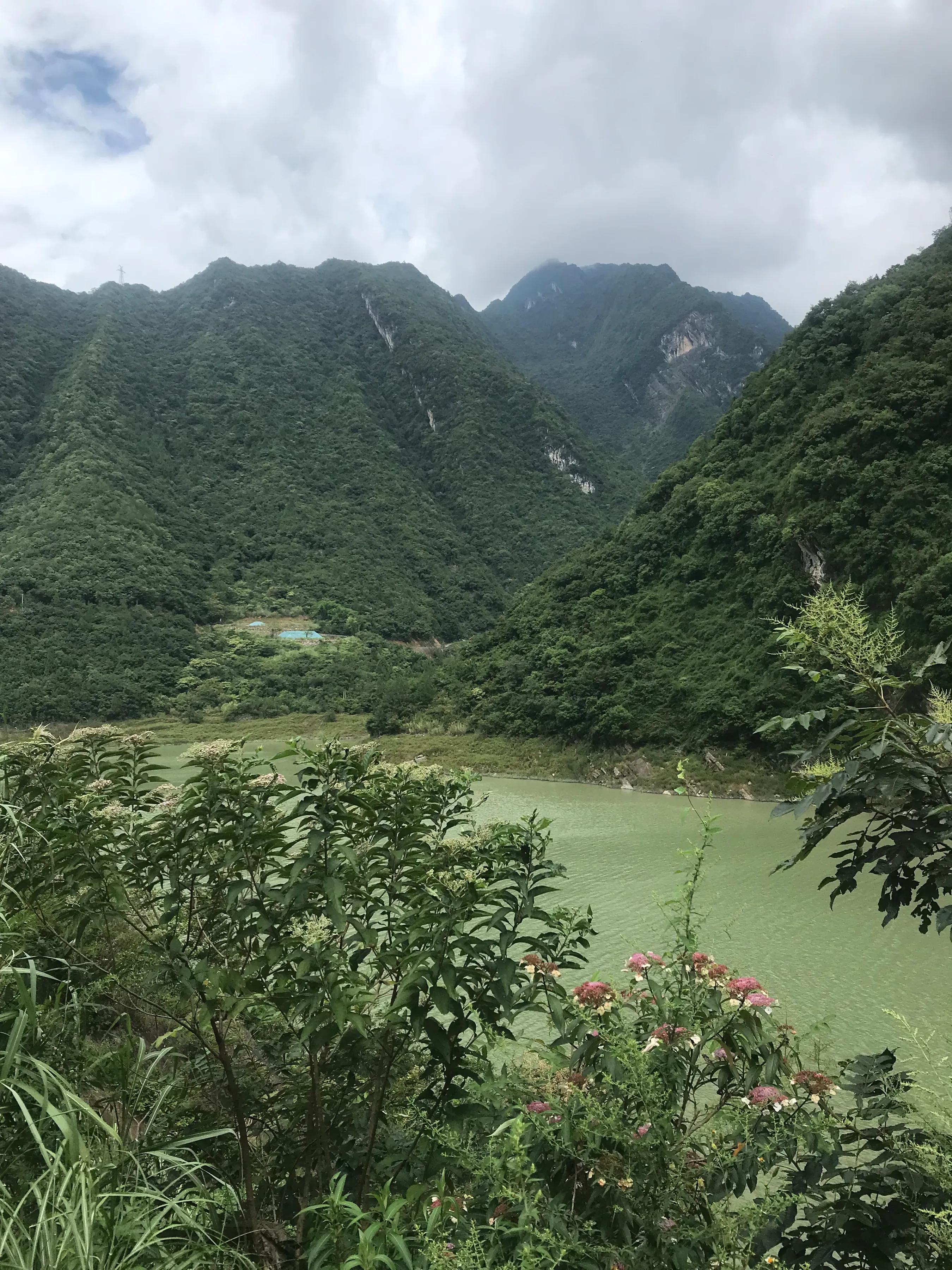 山远近路横斜读音,山远近路横斜青旗沽酒有人家意思