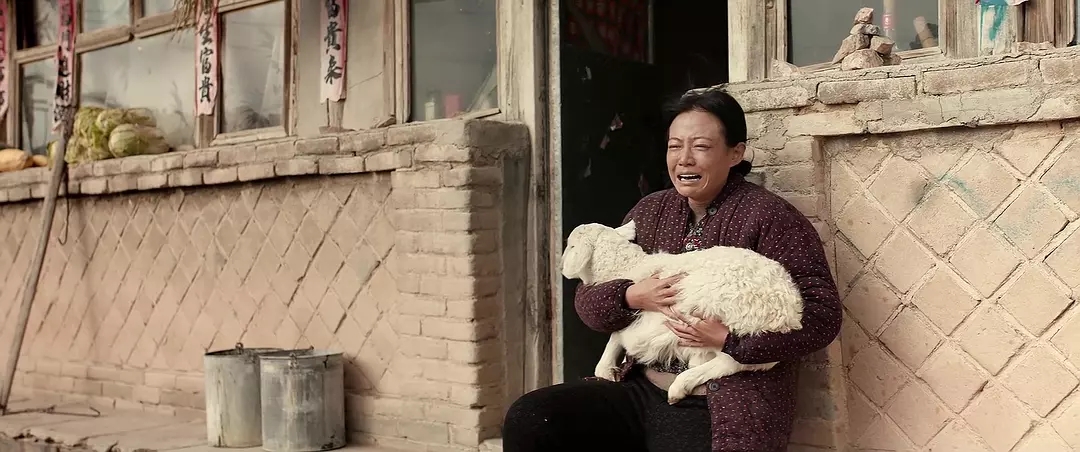 最值得看的十部华语电影 (评分高的五部华语电影)