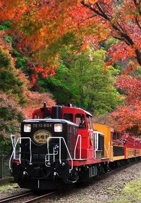 秋天来京都，体验「限定红」的“枫”情万种