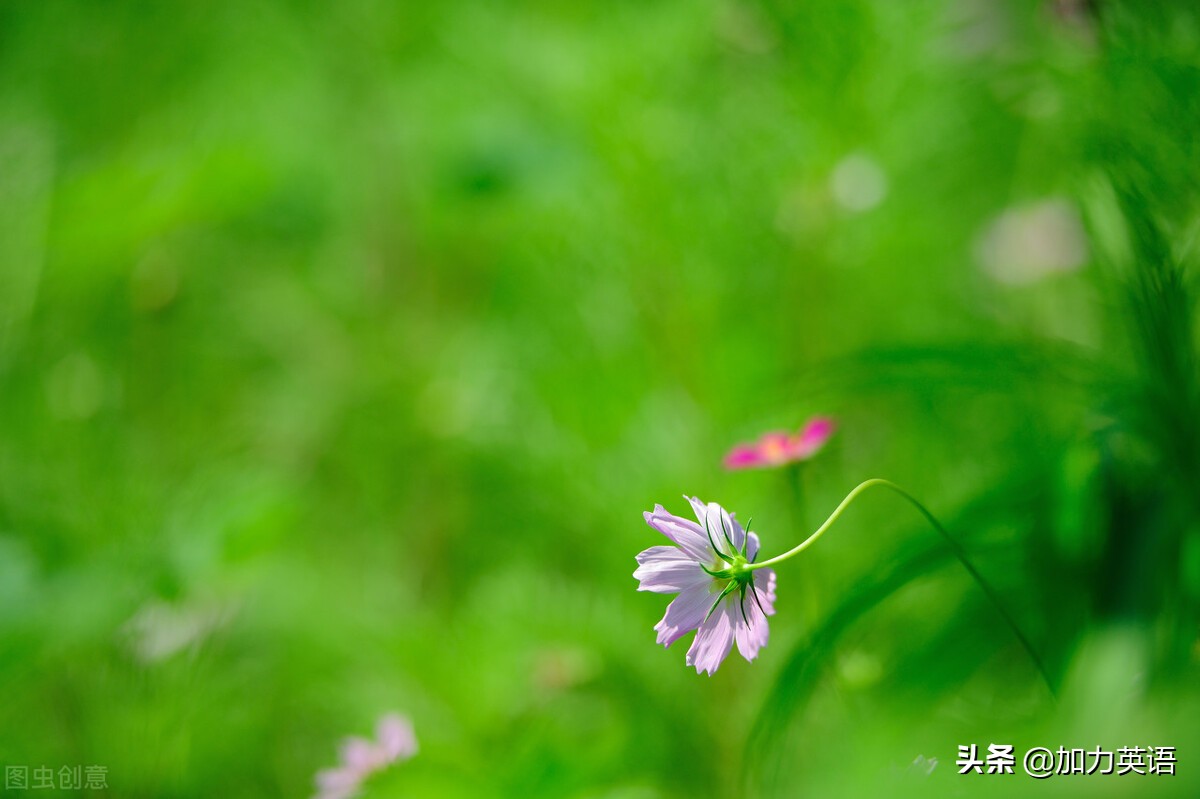 中考英语晨读美文100篇,中考英语阅读训练100篇69页