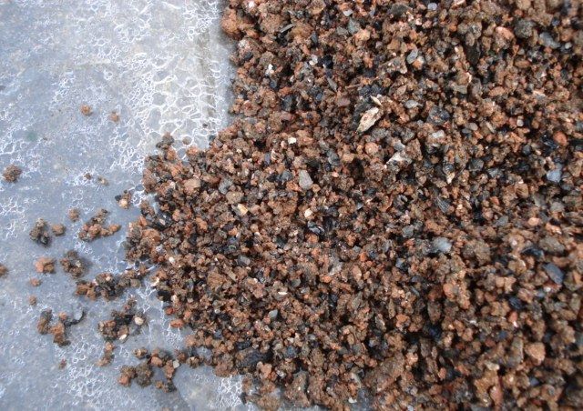 多肉变废为宝方法,废物利用养多肉