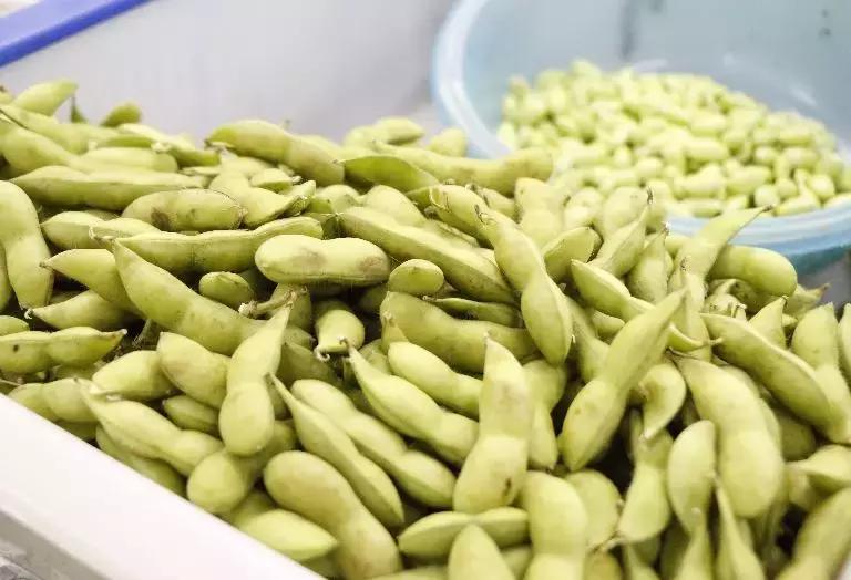 合肥疫情下的菜价行情,合肥蔬菜涨价原因