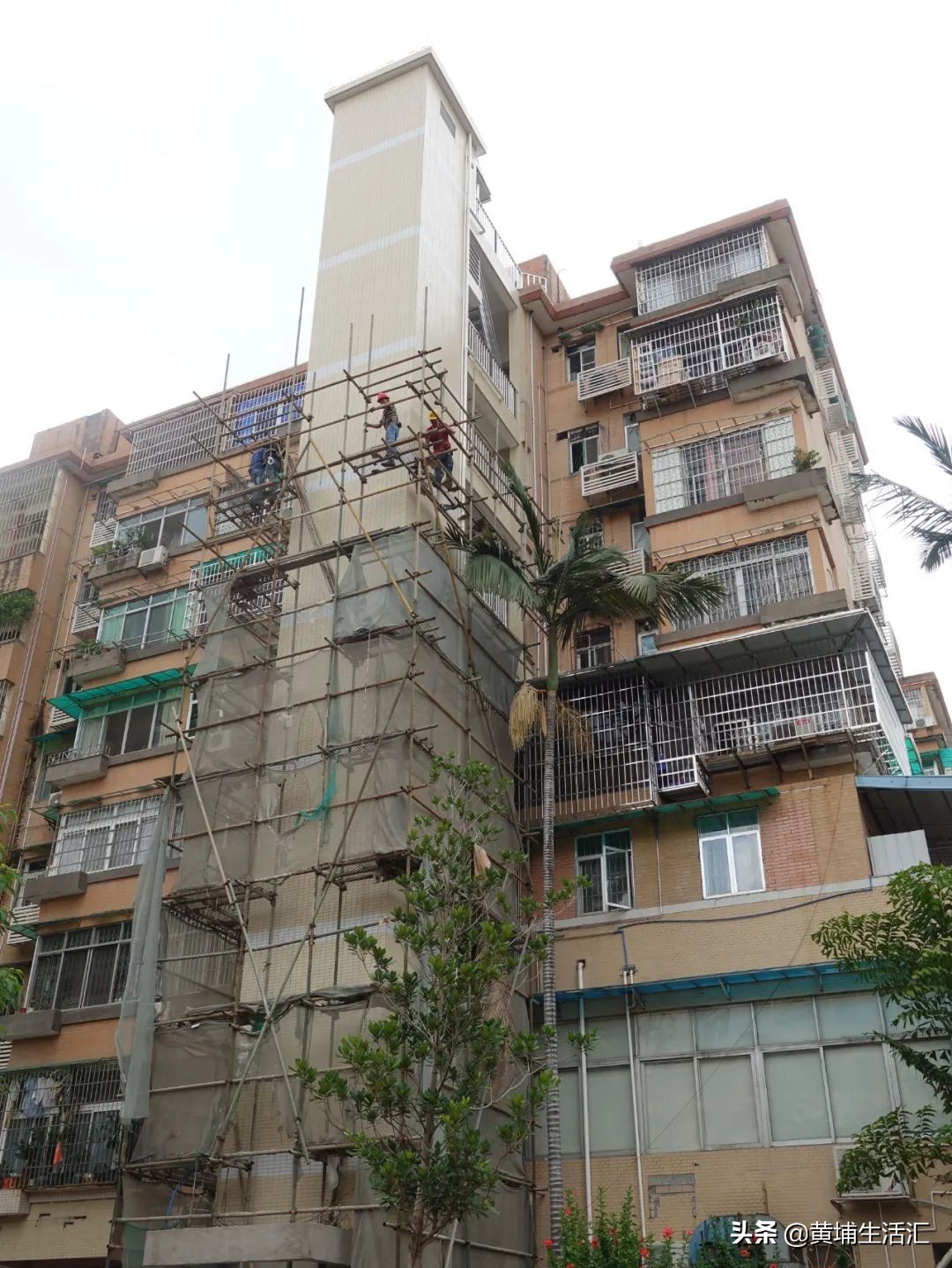 黄埔区怡园小学对应小区,广州黄埔怡园小学有什么楼盘